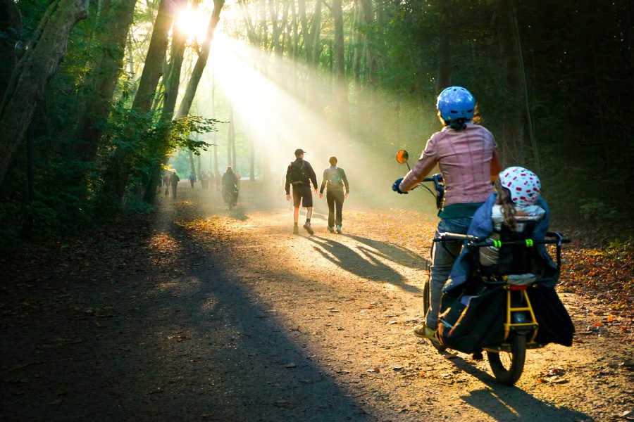 Nikt nie jest samotną wyspą – odkryj magię wspólnych podróży